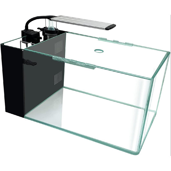 Tucker Murphy Pet™ 10Gallon Saltwater Aquarium Rimless Low Iron Aquarium Ultra Clear Glass